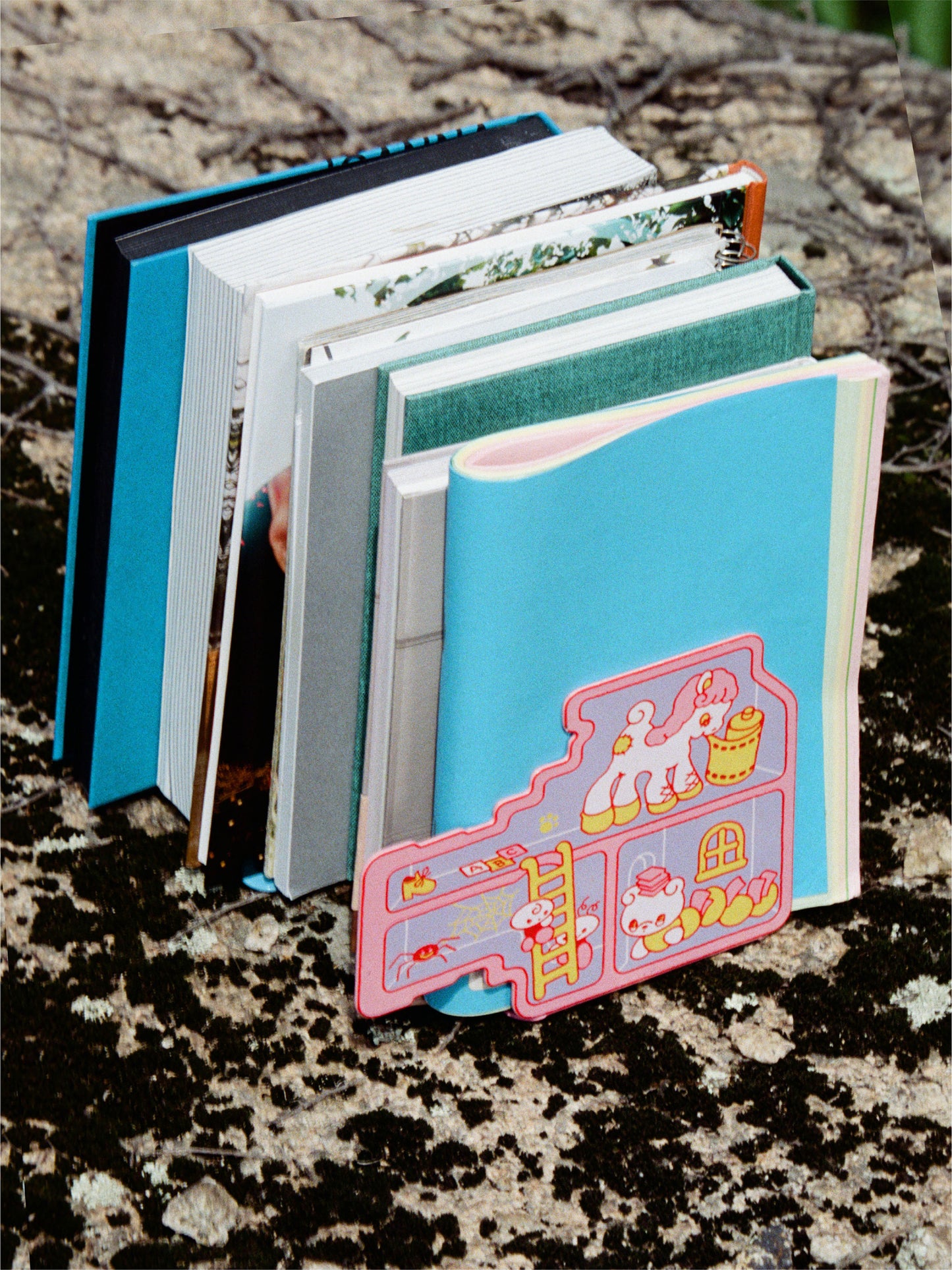 ancco the Secret of a Camera Bookend